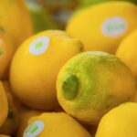 Derrière le label bio, des règles de production et des contrôles