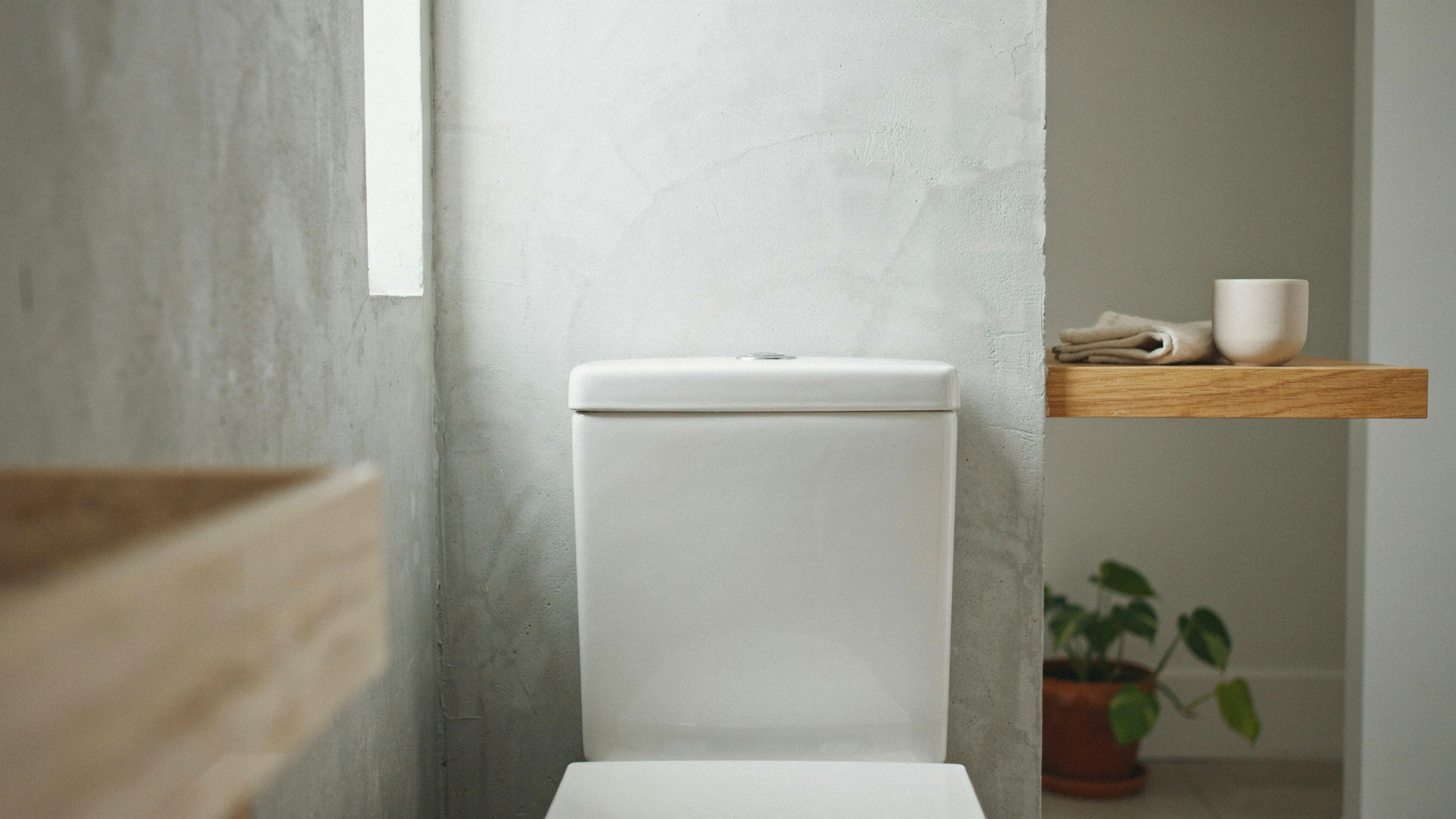 Illustration documentaire sur chasse eau double commande salle de bain