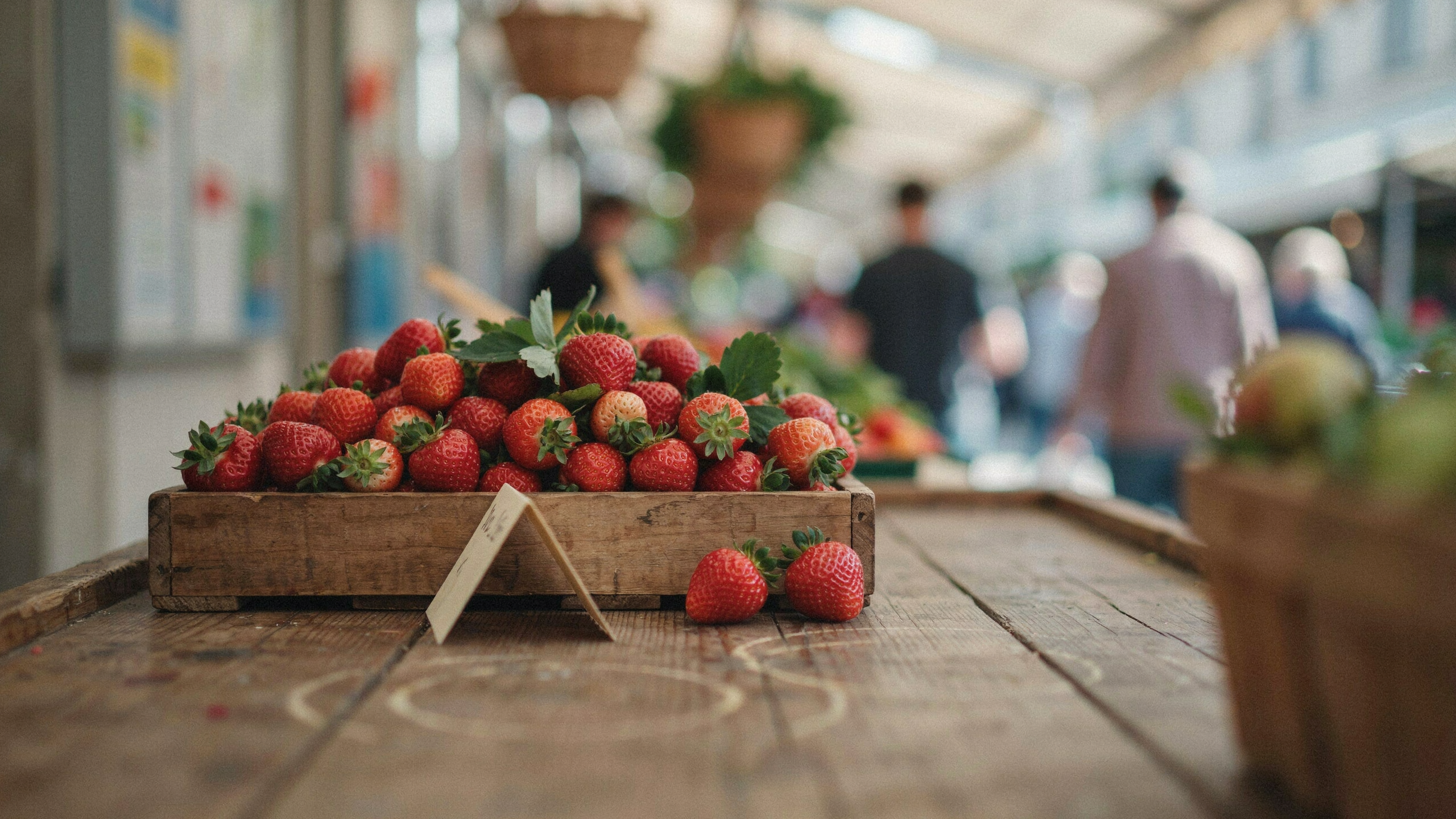 Illustration documentaire sur fraises françaises sur étal de marché