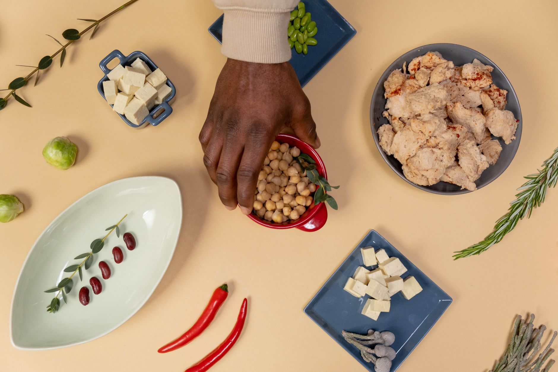 Vibrant flat lay of various vegan ingredients, including chickpeas, tofu, and herbs.